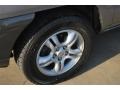 Steel Silver - Sportage LX V6 Photo No. 11