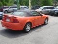 Competition Orange - Mustang V6 Convertible Photo No. 5