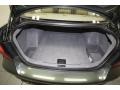 Beige Trunk Photo for 2010 BMW 3 Series #80138022