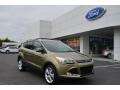 Ginger Ale Metallic 2013 Ford Escape Titanium 2.0L EcoBoost