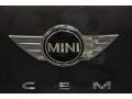 Royal Gray Metallic - Cooper S Paceman Photo No. 13