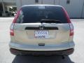 2009 Borrego Beige Metallic Honda CR-V LX 4WD  photo #8