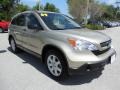 2009 Borrego Beige Metallic Honda CR-V LX 4WD  photo #11