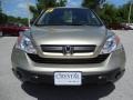 2009 Borrego Beige Metallic Honda CR-V LX 4WD  photo #14