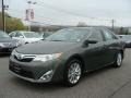 2013 Cypress Green Metallic Toyota Camry XLE  photo #3