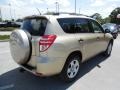 Sandy Beach Metallic - RAV4 I4 Photo No. 9