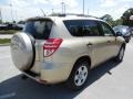 2010 Sandy Beach Metallic Toyota RAV4 I4  photo #9