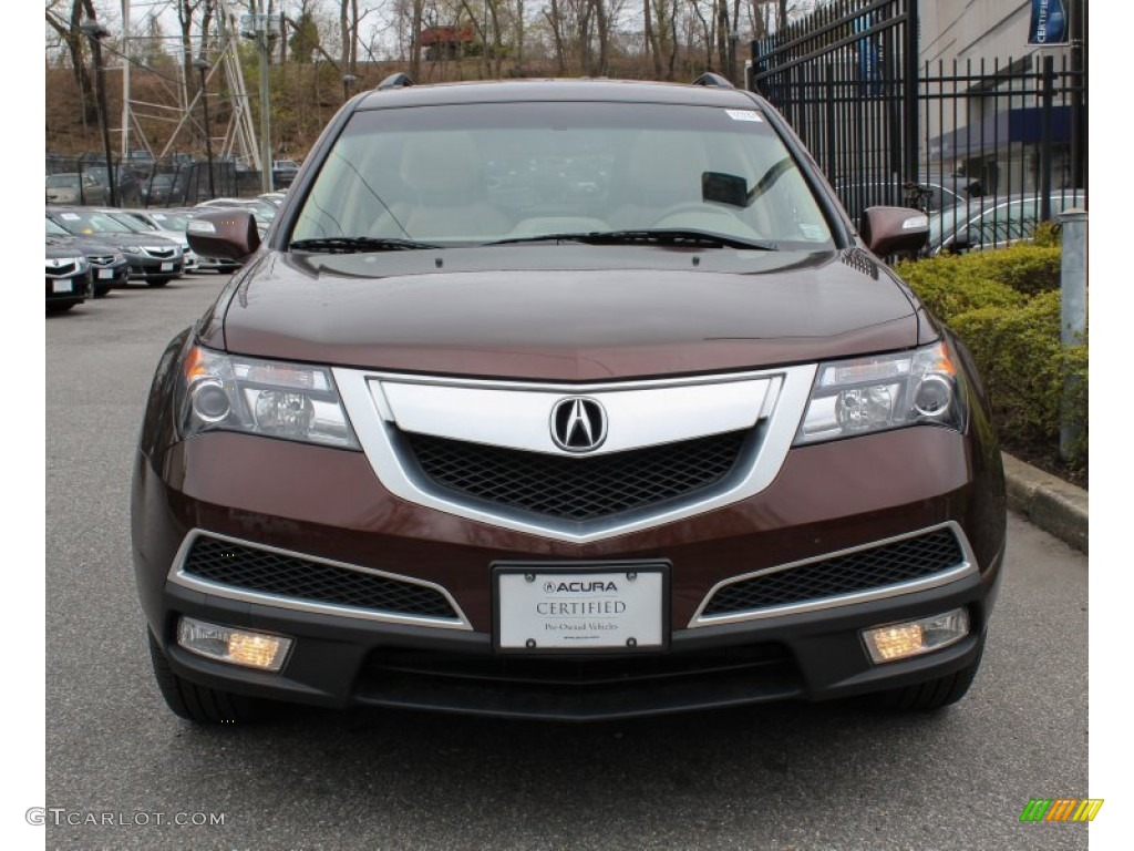2011 MDX Technology - Ionized Bronze Metallic / Parchment photo #2