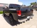 Galaxy Black - Titan SV Crew Cab 4x4 Photo No. 5