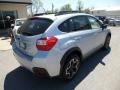 2013 Ice Silver Metallic Subaru XV Crosstrek 2.0 Limited  photo #7