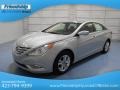 Radiant Silver - Sonata GLS Photo No. 2