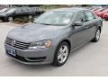 Platinum Gray Metallic - Passat 2.5L SE Photo No. 3