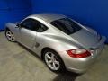 Arctic Silver Metallic - Cayman  Photo No. 9