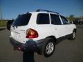 2003 Nordic White Hyundai Santa Fe GLS 4WD  photo #7