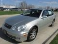 Millenium Silver Metallic - GS 300 Photo No. 7
