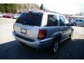 2004 Bright Silver Metallic Jeep Grand Cherokee Limited 4x4  photo #10