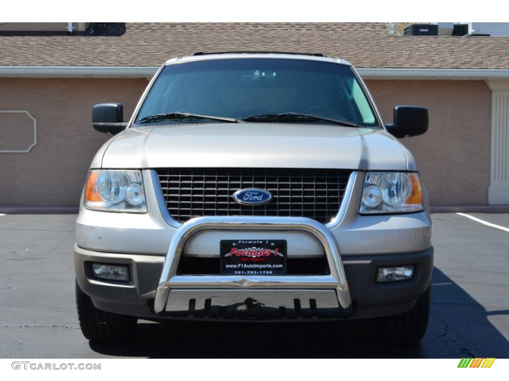 2003 Expedition XLT 4x4 - Silver Birch Metallic / Flint Grey photo #2