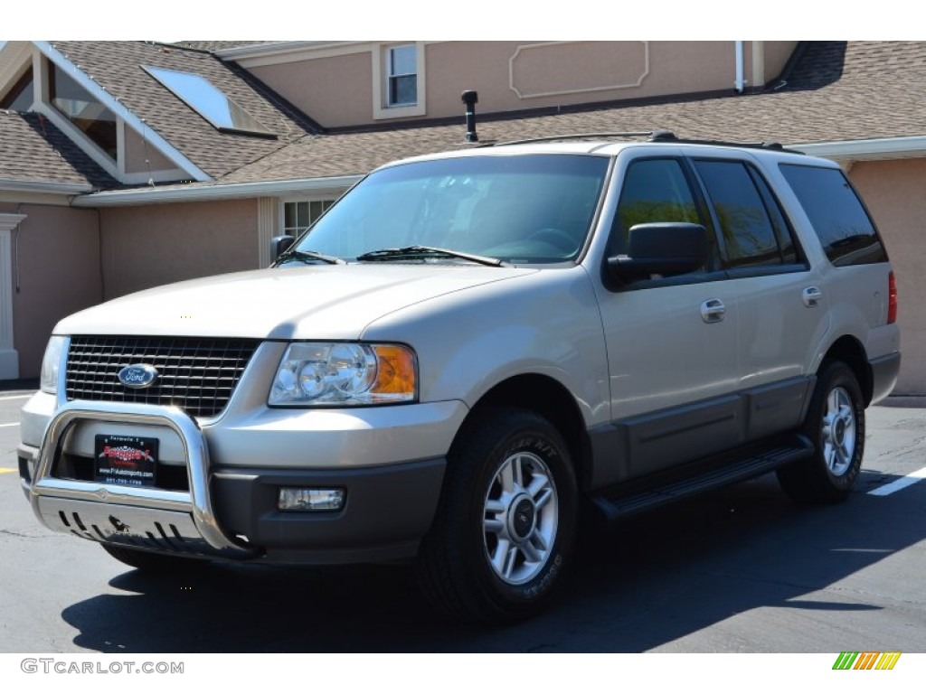 2003 Expedition XLT 4x4 - Silver Birch Metallic / Flint Grey photo #3