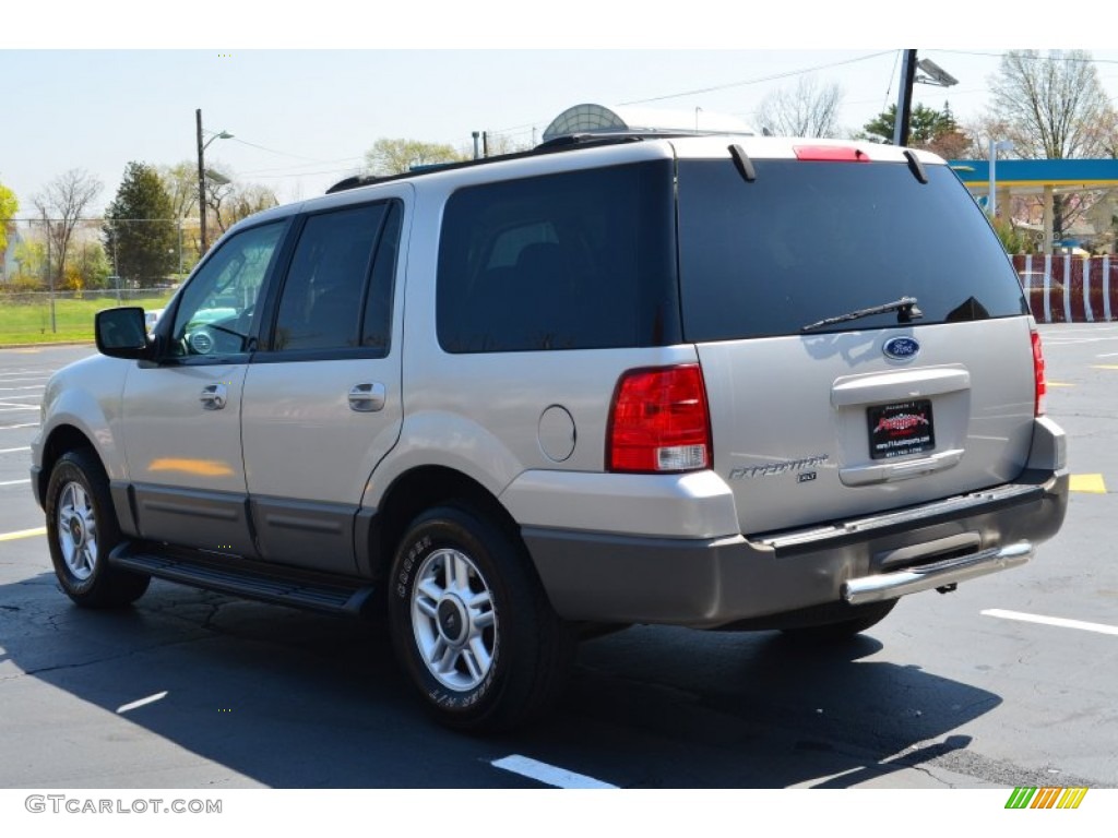 2003 Expedition XLT 4x4 - Silver Birch Metallic / Flint Grey photo #5