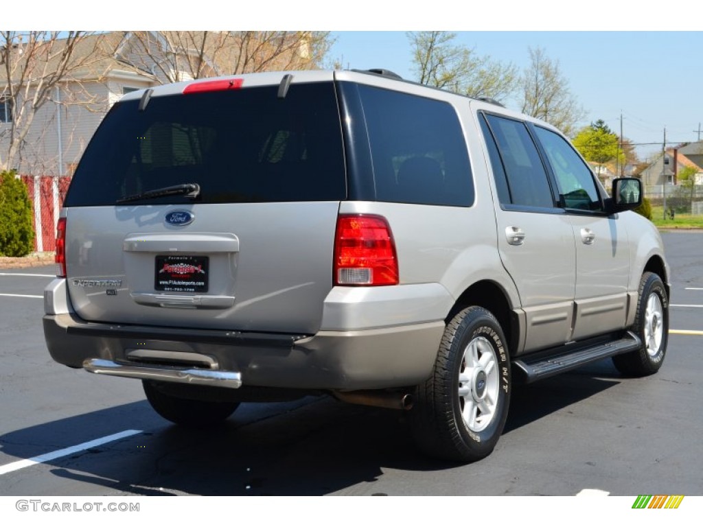 2003 Expedition XLT 4x4 - Silver Birch Metallic / Flint Grey photo #7