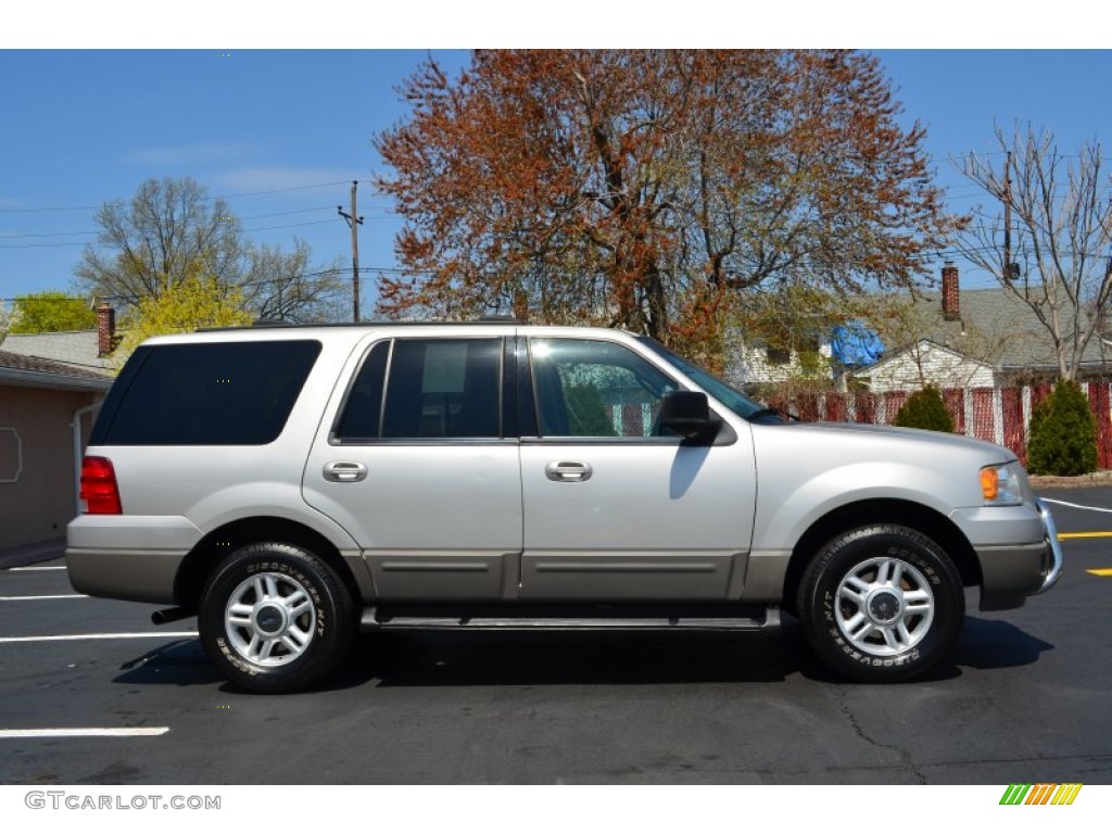 2003 Expedition XLT 4x4 - Silver Birch Metallic / Flint Grey photo #8
