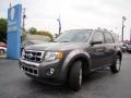 2011 Sterling Grey Metallic Ford Escape Limited  photo #30