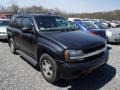 Black - TrailBlazer LS 4x4 Photo No. 1