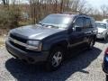 Black - TrailBlazer LS 4x4 Photo No. 3