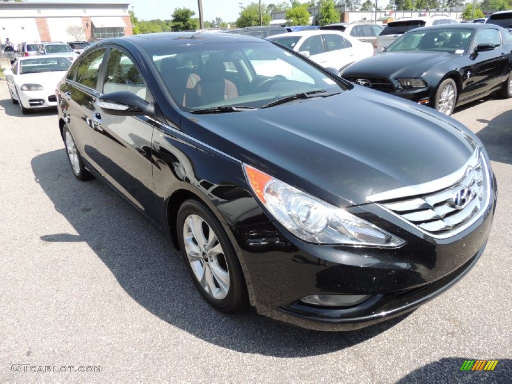 2011 Sonata Limited - Black Plum Pearl / Wine photo #1