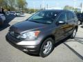 2010 Urban Titanium Metallic Honda CR-V EX AWD  photo #7