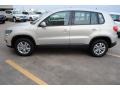 White Gold Metallic - Tiguan S Photo No. 4