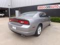 Billet Silver - Charger SE Photo No. 7