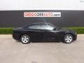 Pitch Black - Charger SE Photo No. 4