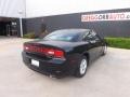 Pitch Black - Charger SE Photo No. 7