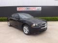 Pitch Black - Charger SE Photo No. 1