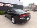 Pitch Black - Charger SE Photo No. 5