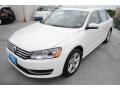 Candy White - Passat 2.5L SE Photo No. 3