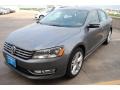 2013 Platinum Gray Metallic Volkswagen Passat V6 SEL  photo #3