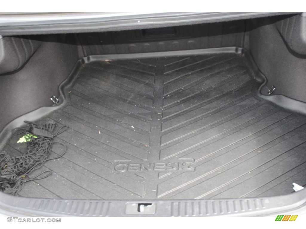 2010 Hyundai Genesis 3.8 Sedan Trunk Photo #80209123