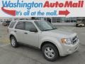 2009 Light Sage Metallic Ford Escape XLT V6 4WD  photo #1