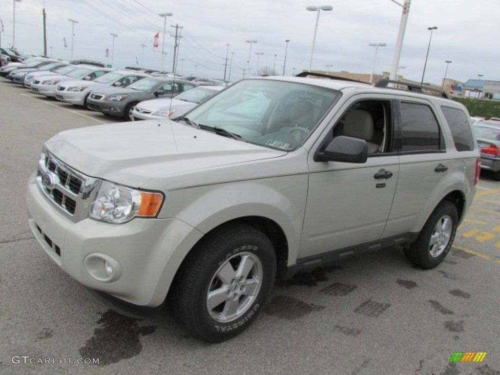 2009 Escape XLT V6 4WD - Light Sage Metallic / Camel photo #4