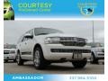2010 White Platinum Metallic Tri-Coat Lincoln Navigator   photo #1