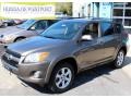 Pyrite Metallic - RAV4 Limited V6 4WD Photo No. 1