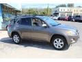 Pyrite Metallic - RAV4 Limited V6 4WD Photo No. 5