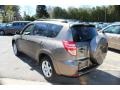 2010 Pyrite Metallic Toyota RAV4 Limited V6 4WD  photo #10