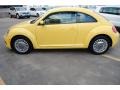 Yellow Rush - Beetle 2.5L Photo No. 4