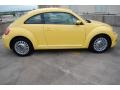 Yellow Rush - Beetle 2.5L Photo No. 8