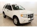 2010 White Suede Ford Escape XLT  photo #1