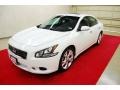 Winter Frost White - Maxima 3.5 SV Photo No. 3