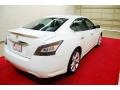 Winter Frost White - Maxima 3.5 SV Photo No. 6